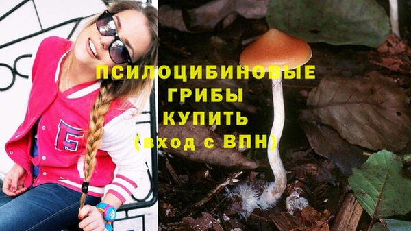 крисы Майский