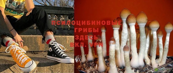 jwh Медвежьегорск