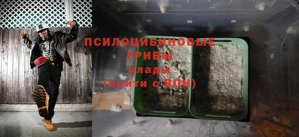 крисы Майский