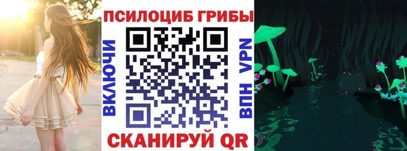 blacksprut ONION  Каменка  Псилоцибиновые грибы Psilocybine cubensis 