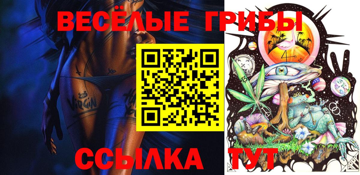 Псилоцибиновые грибы Cubensis Каменка