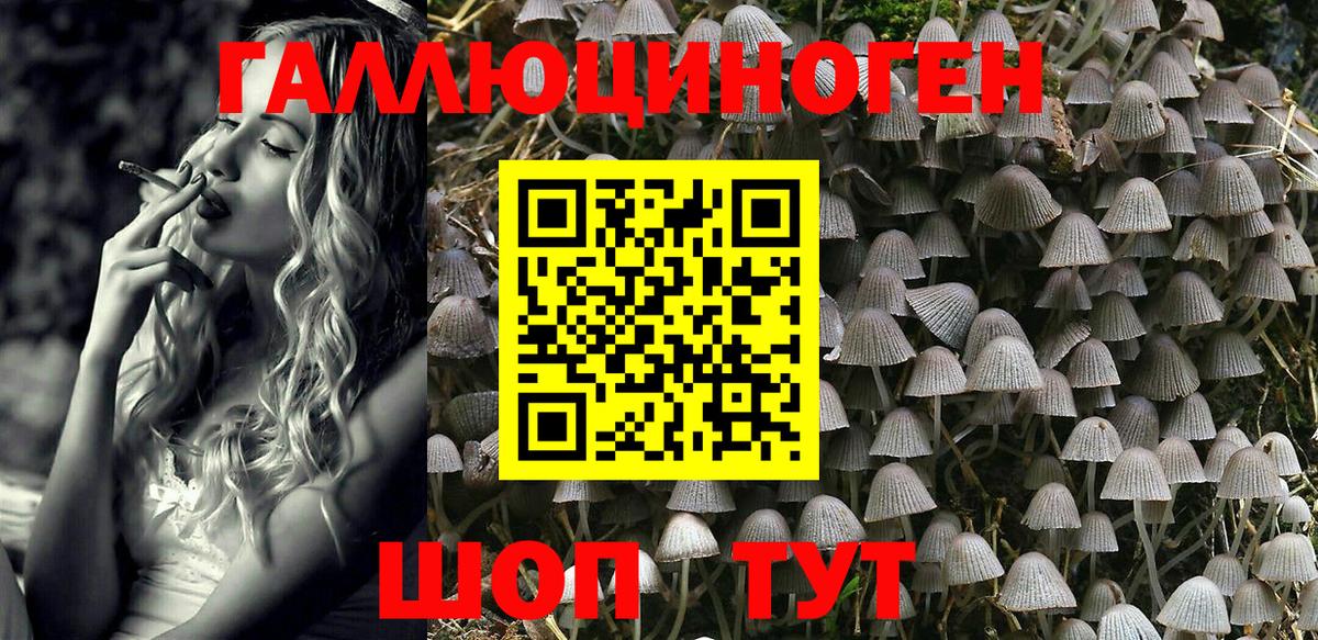 A-PVP Каменка