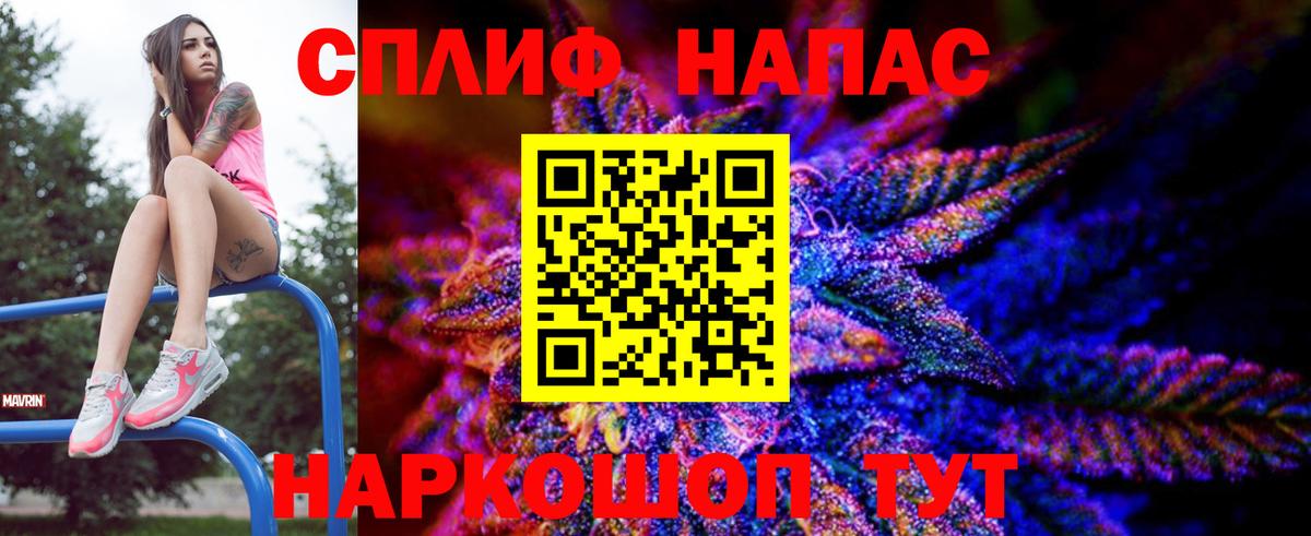 Бошки Шишки семена  Вход с VPN  МАРИХУАНА ГИДРОПОН  Канабис Bruce Banner  Каменка  Канабис конопля 